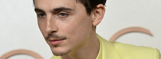 Timothée Chalamet/ Profimedia