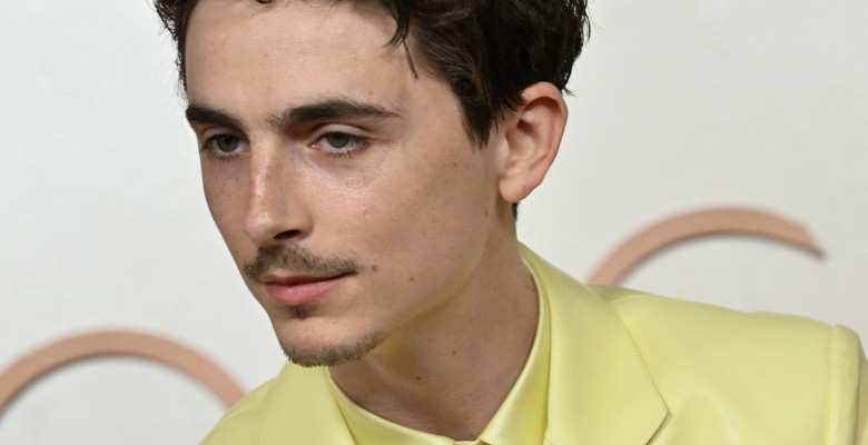 Timothée Chalamet/ Profimedia