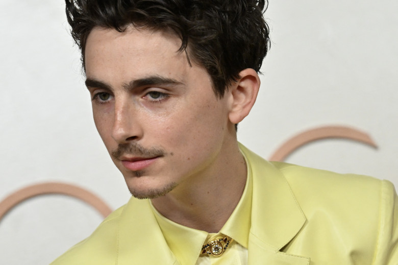 Timothée Chalamet/ Profimedia