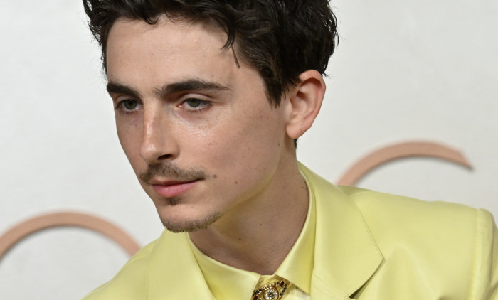 Timothée Chalamet/ Profimedia