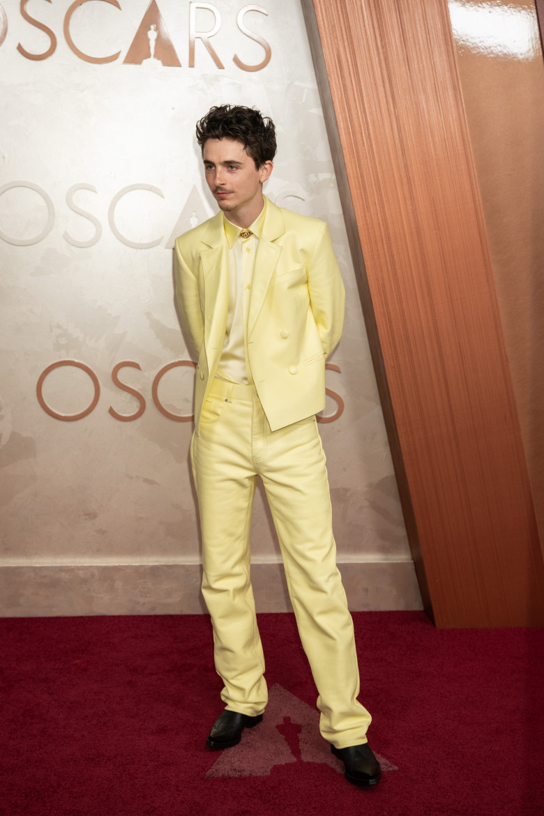 Timothée Chalamet/ Profimedia