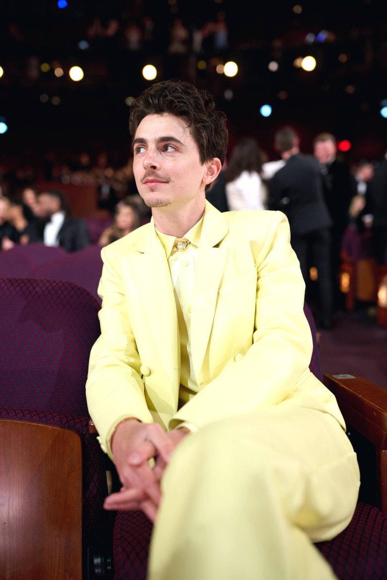 Timothée Chalamet/ Profimedia