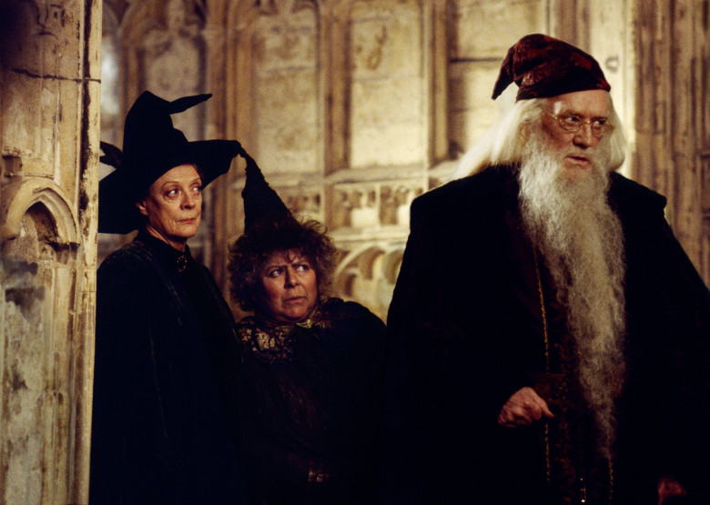 Miriam Margolyes în Harry Potter/ Profimedia