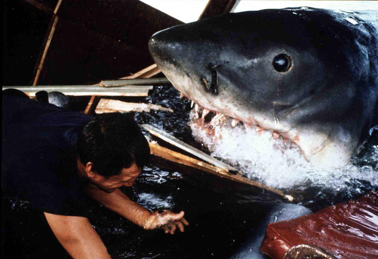 Jaws (1975) / Profimedia