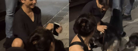 Zendaya / Foto: Captură video TikTok