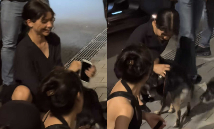 Zendaya / Foto: Captură video TikTok