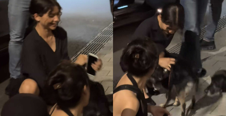 Zendaya / Foto: Captură video TikTok