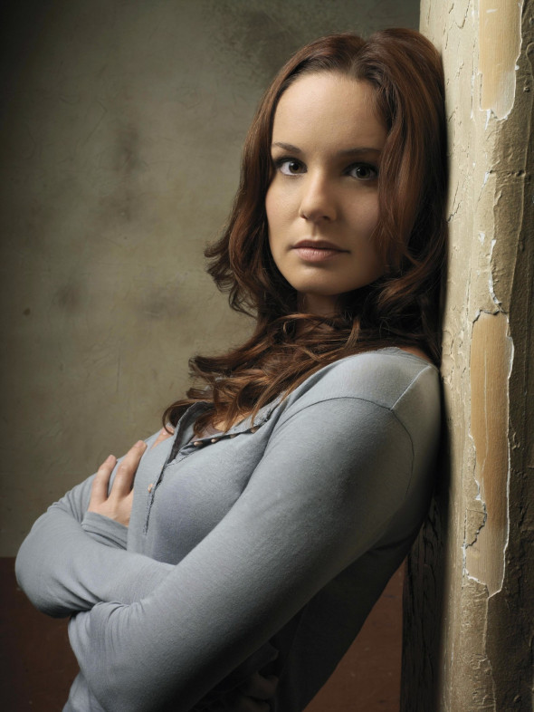 Sarah Wayne Callies (2)