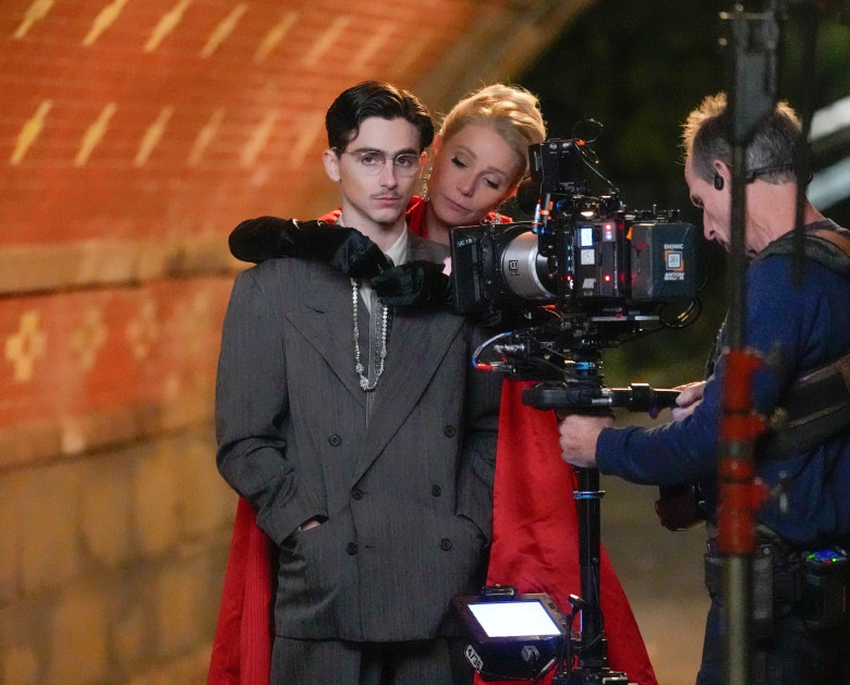 Gwyneth Paltrow și Timothée Chalamet/ Profimedia
