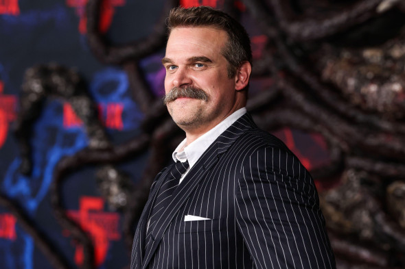 David Harbour/ Profimedia