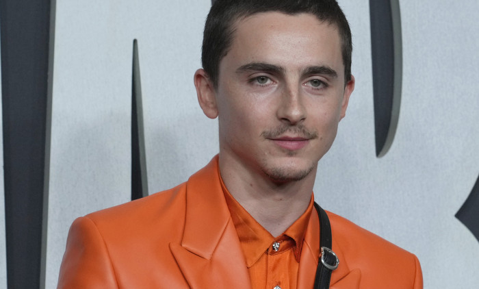 Timothée Chalamet/ Profimedia