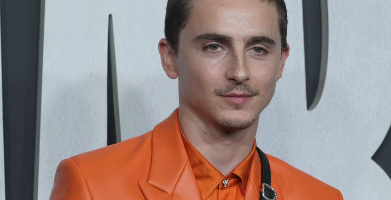 Timothée Chalamet/ Profimedia