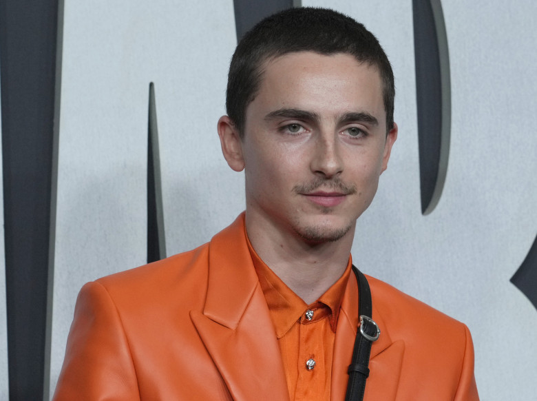Timothée Chalamet/ Profimedia