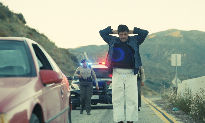 Benicio del Toro, "One Battle After Another"