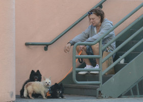 Mickey Rourke/ Profimedia