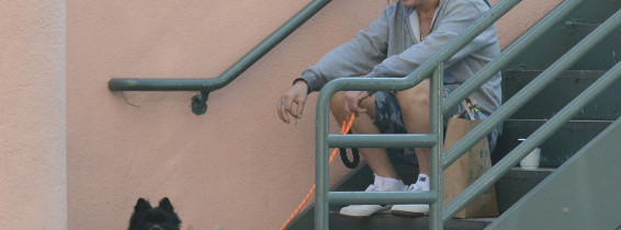 Mickey Rourke/ Profimedia