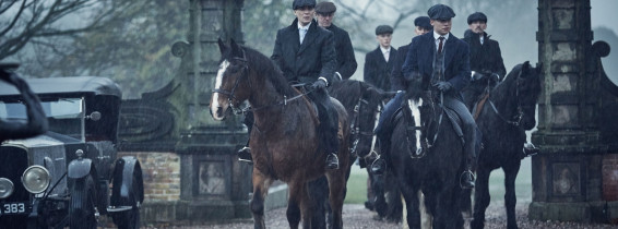 Cillian Murphy, Peaky Blinders