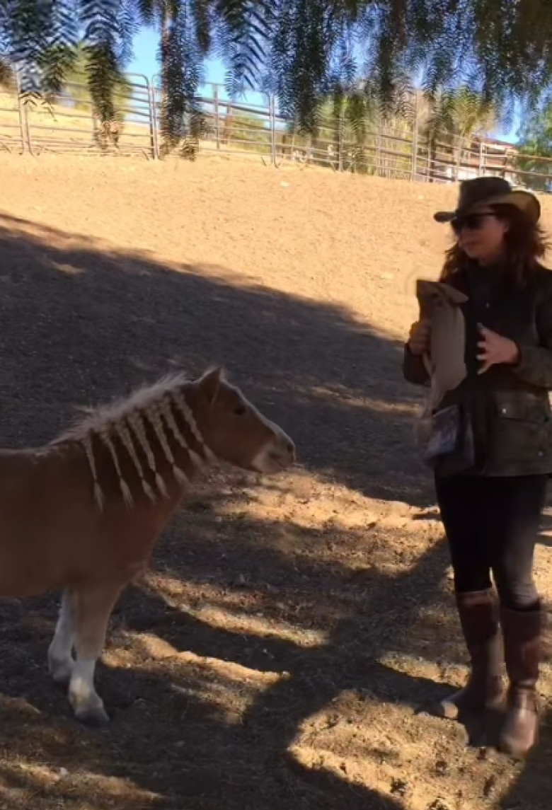 victoria principal (3)