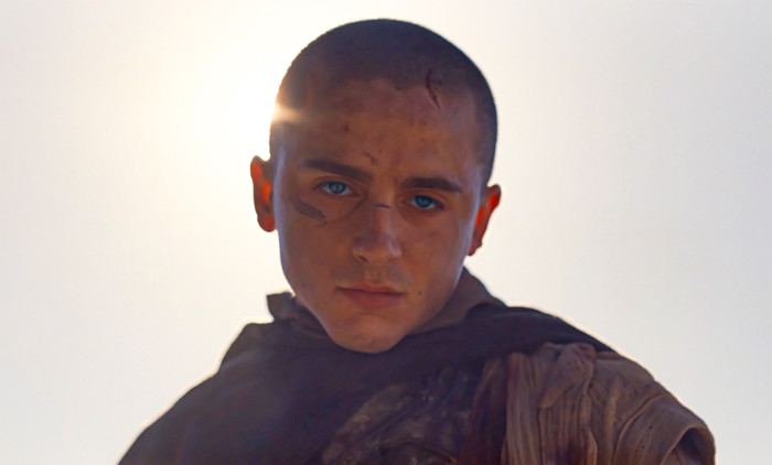 Timothée Chalamet/ Profimedia