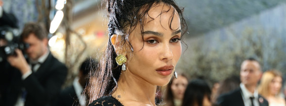 The 2026 Met Gala Celebrating 