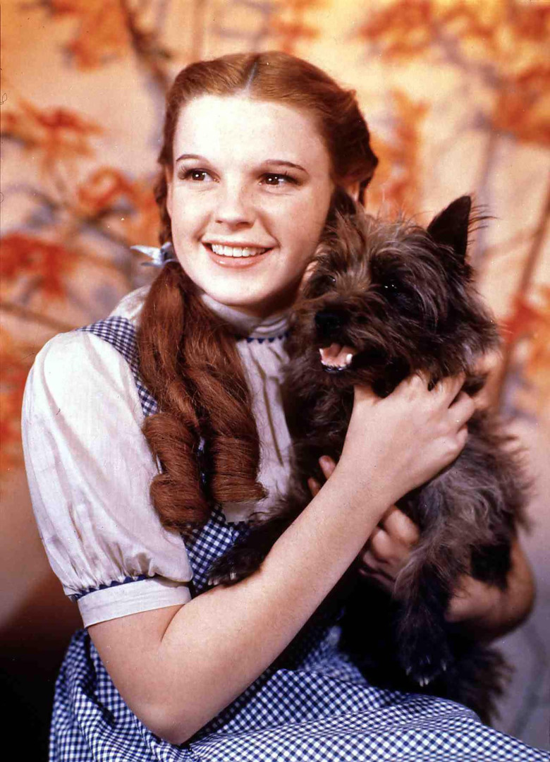 Judy Garland în „Vrăjitorul din Oz”/ Profimedia