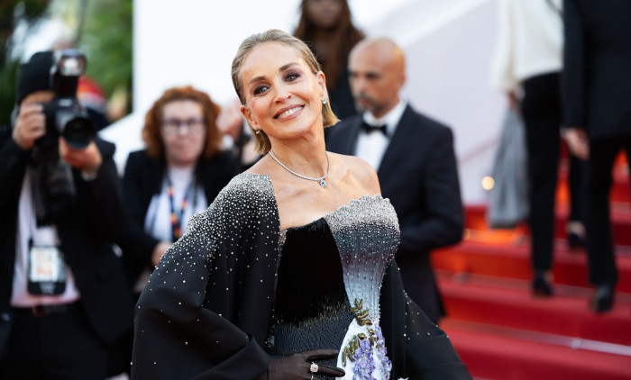 Sharon Stone, Cannes 2026