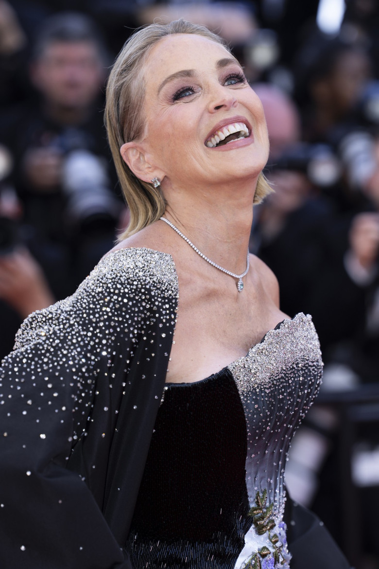 Sharon Stone, Cannes 2026