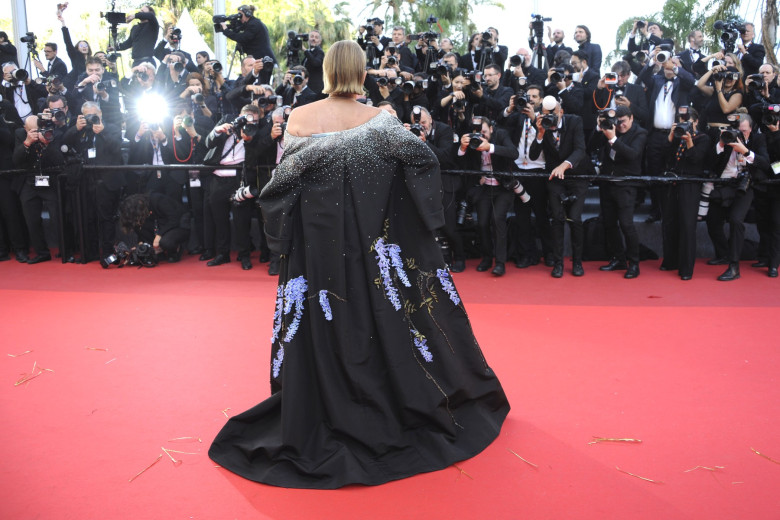 Sharon Stone, Cannes 2026
