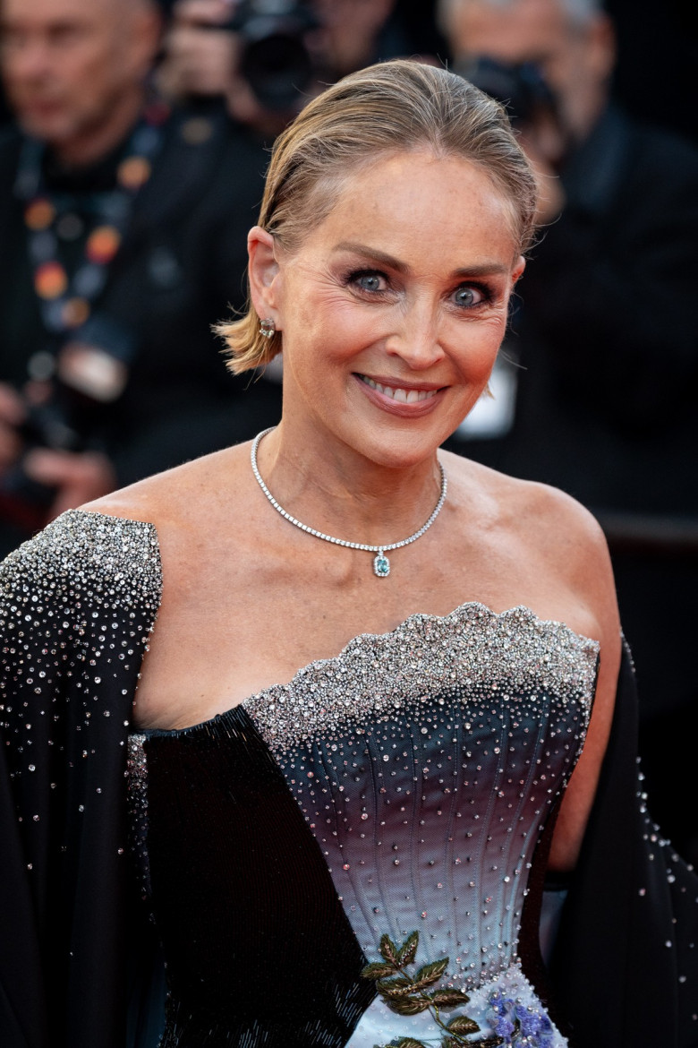 Sharon Stone, Cannes 2026