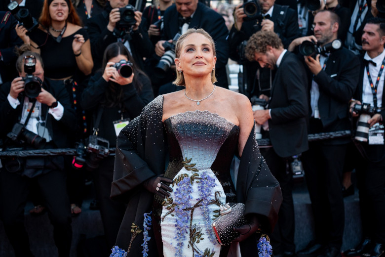 Sharon Stone, Cannes 2026