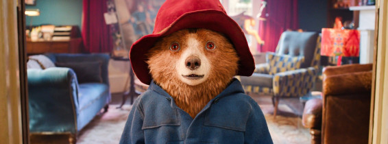 Paddington Bear