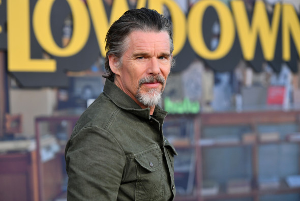 FX's "The Lowdown" FYC Carpet