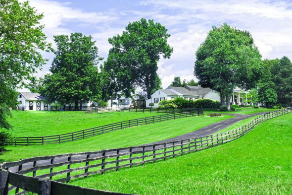 Johnny Depp’s Kentucky horse farm will be sold at auction next month.