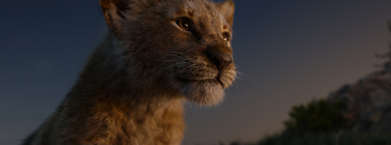 The Lion King. Foto: Profimedia