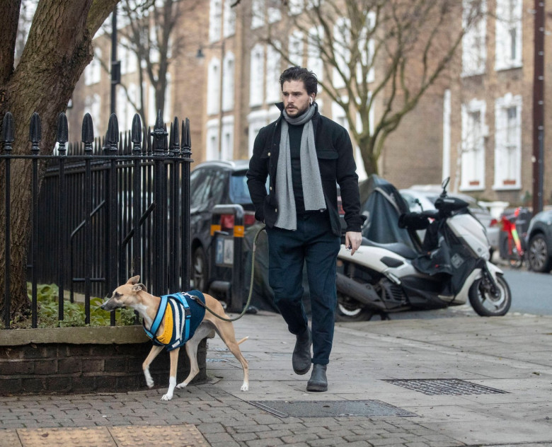 EXCLUSIVE: Kit Harrington pictured walking his dog in Islington , North London
