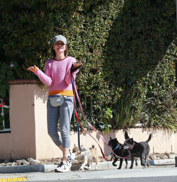 *EXCLUSIVE* Calista Flockhart can almost pass as a Professional Dog Walker