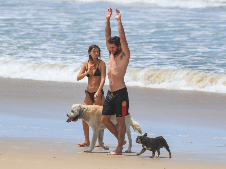 EXCLUSIVE: *NO DAILY MAIL ONLINE* PUPPY LOVE! Liam Hemsworth And Girlfriend Gabriella Brooks Head To The Beach With Liam's Dog Dora And A The Couple's New French Bulldog That Adopted Together Last Year