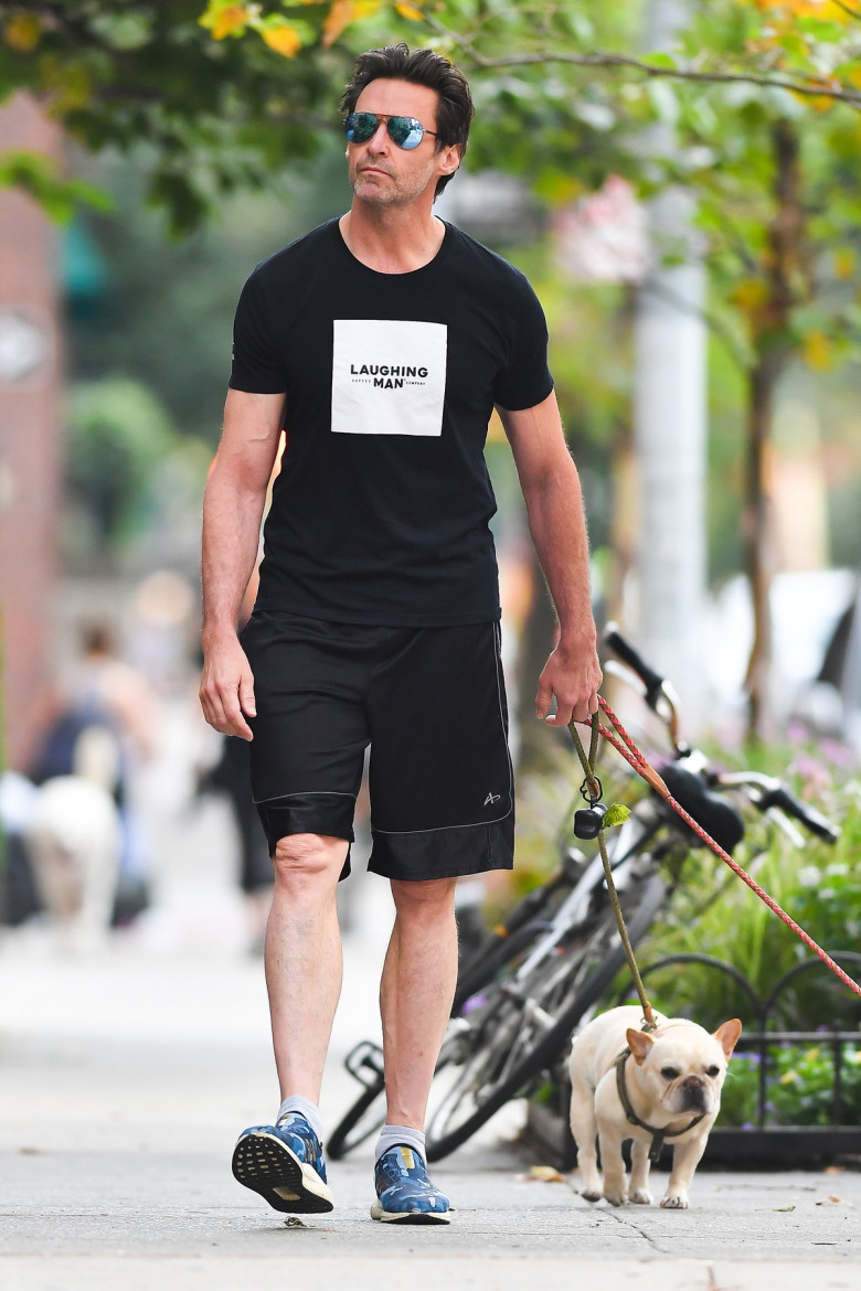 Hugh Jackman walks his dogs Dali and Allegra in New York City