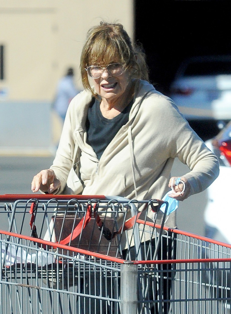 Dallas icon Linda Gray, 81, is photographed in public for the first time in three years as she runs errands near her home in Valencia, California.