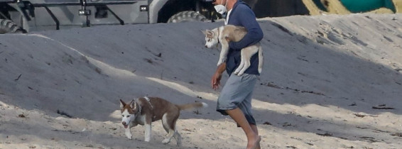 *EXCLUSIVE* Leonardo DiCaprio takes his Husky's for a walk on the beach in Malibu
