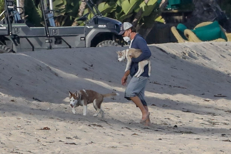 *EXCLUSIVE* Leonardo DiCaprio takes his Husky's for a walk on the beach in Malibu