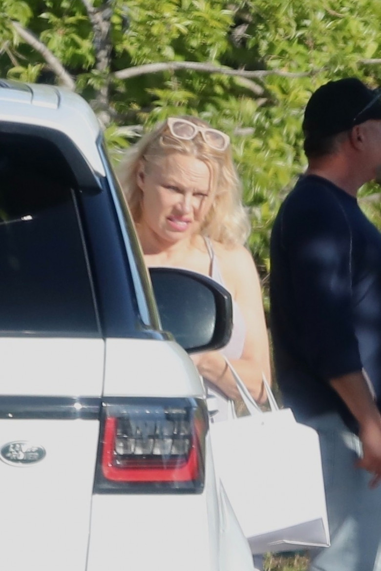 Pamela Anderson, surprinsă în Malibu