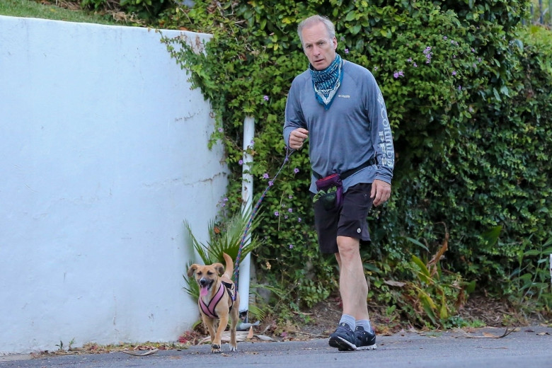 *EXCLUSIVE* Bob Odenkirk and his wife Naomi go for a walk with their dogs
