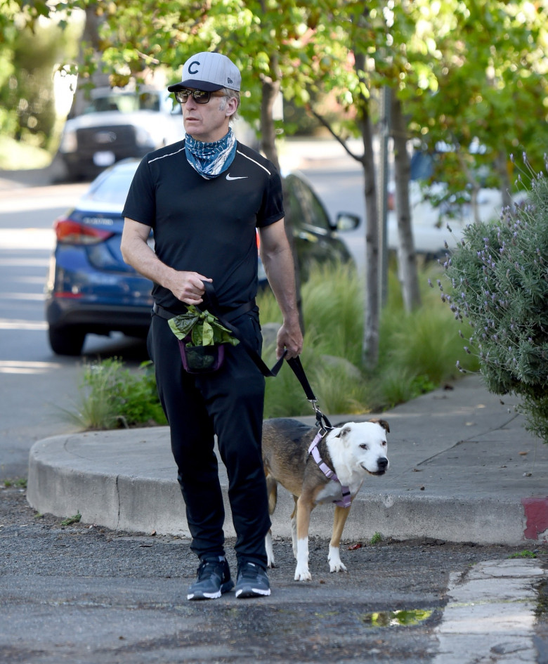EXCLUSIVE: Bob Odenkirk is Spotted on a Rare Family Outing in Los Angeles.