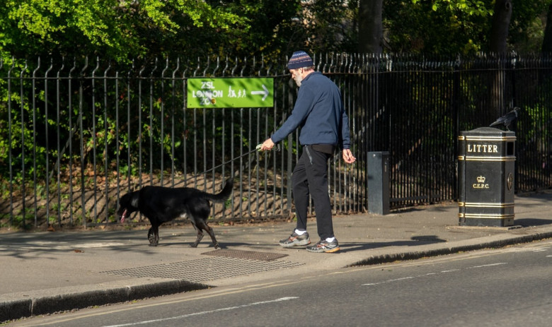 *EXCLUSIVE* *WEB MUST CALL FOR PRICING* Hugh Laurie looks unrecognisable in a tracksuit, a beanie hat and trainers and a full bushy beard as he was spotted taking his dog for a walk in London.