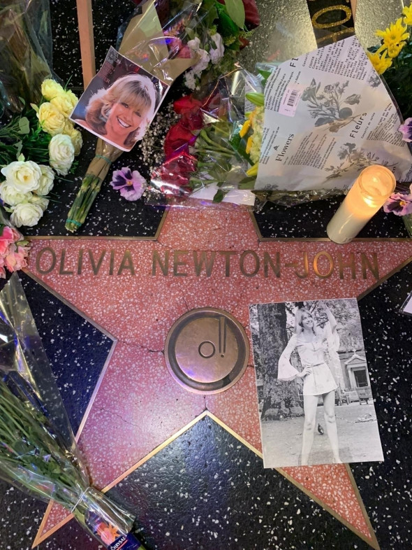 *EXCLUSIVE* Olivia Newton-John's memorial tribute on the Hollywood Walk of Fame