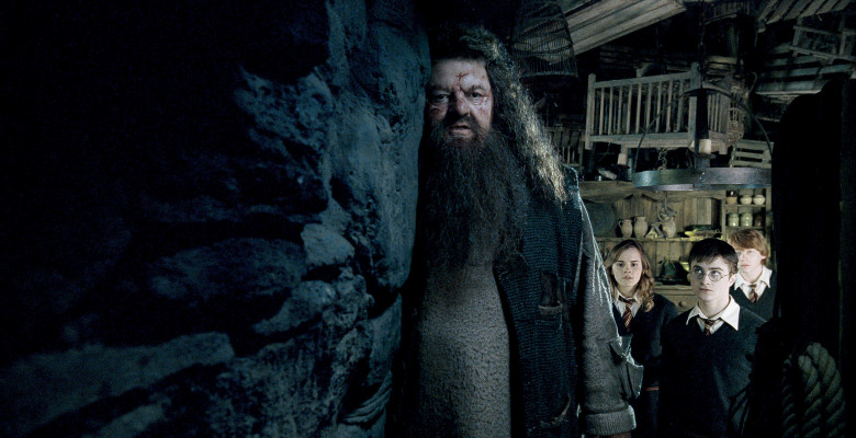 Robbie Coltrane as Rubeus Hagrid, Emma Watson as Hermione Granger, Daniel Radcliffe as Harry Potter and Rupert Grint as Ron Weasley  in "Harry Potter and the Order of the Phoenix"