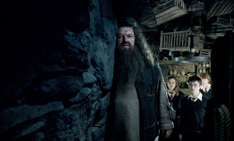 Robbie Coltrane as Rubeus Hagrid, Emma Watson as Hermione Granger, Daniel Radcliffe as Harry Potter and Rupert Grint as Ron Weasley  in "Harry Potter and the Order of the Phoenix"