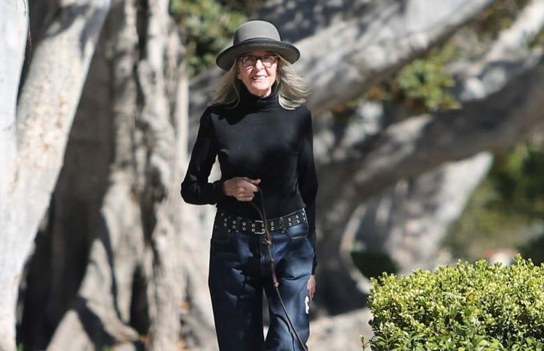 PREMIUM EXCLUSIVE Diane Keaton Looks Lovely While Strolling With Her Best Friend Reggie