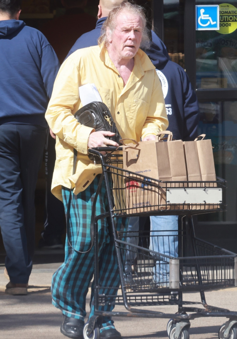 *EXCLUSIVE* Nick Nolte is looking better as he grocery shops solo in Malibu